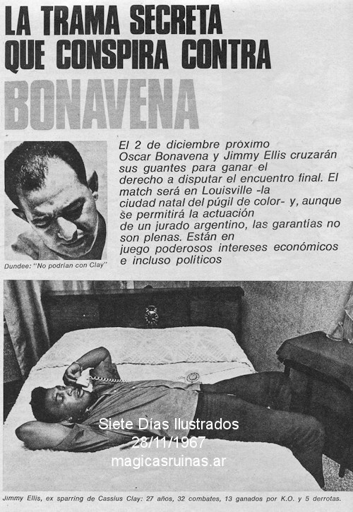 Bonavena